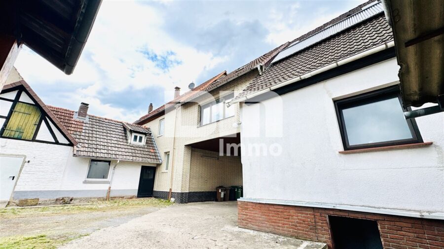 Einzigartiges Immobilien-Ensemble: Zwei Wohnhäuser MFH + EFH mit Halle auf ca. 5.300 m² Grundstück - Rückansicht Wohnensemble